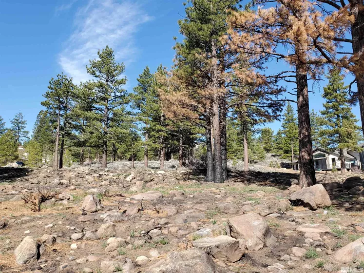 485 Mount Mahogany, Reno, Nevada 89511, ,Land,Residential,Mount Mahogany,250004685
