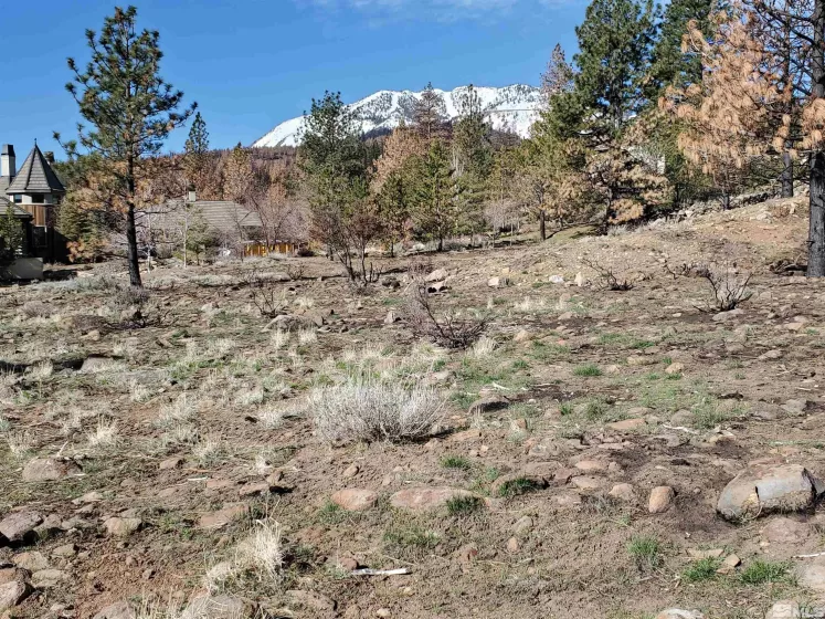 485 Mount Mahogany, Reno, Nevada 89511, ,Land,Residential,Mount Mahogany,250004685