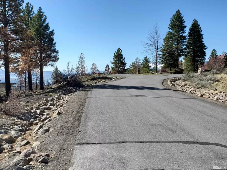 485 Mount Mahogany, Reno, Nevada 89511, ,Land,Residential,Mount Mahogany,250004685