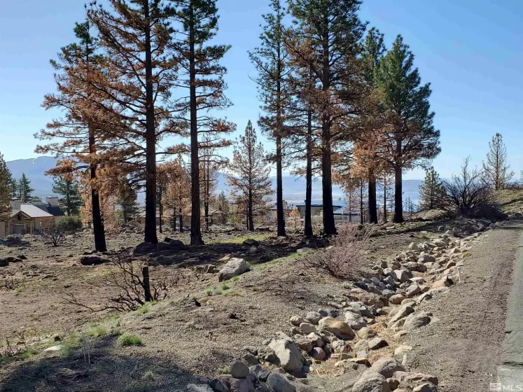 485 Mount Mahogany, Reno, Nevada 89511, ,Land,Residential,Mount Mahogany,250004685