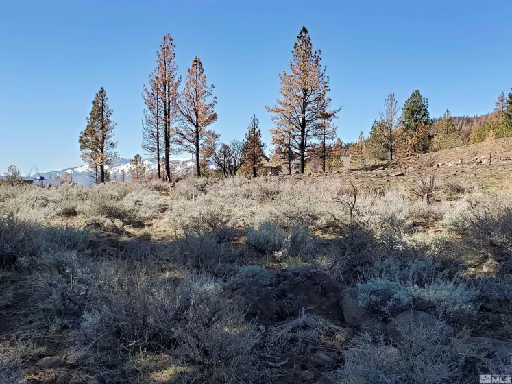 485 Mount Mahogany, Reno, Nevada 89511, ,Land,Residential,Mount Mahogany,250004685
