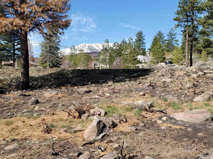 485 Mount Mahogany, Reno, Nevada 89511, ,Land,Residential,Mount Mahogany,250004685