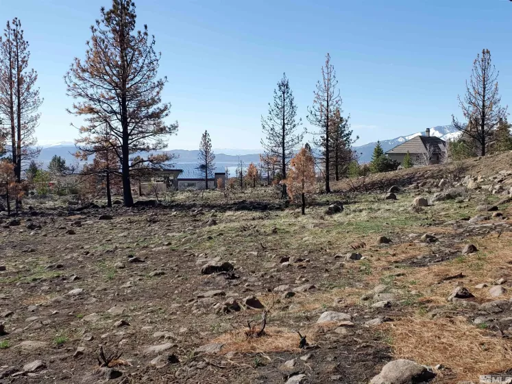 485 Mount Mahogany, Reno, Nevada 89511, ,Land,Residential,Mount Mahogany,250004685