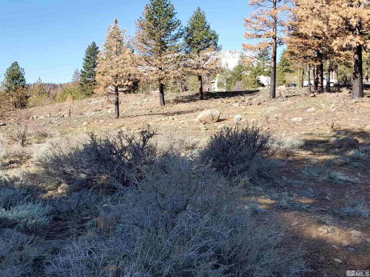 485 Mount Mahogany, Reno, Nevada 89511, ,Land,Residential,Mount Mahogany,250004685