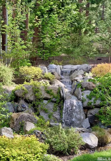 Water Feature