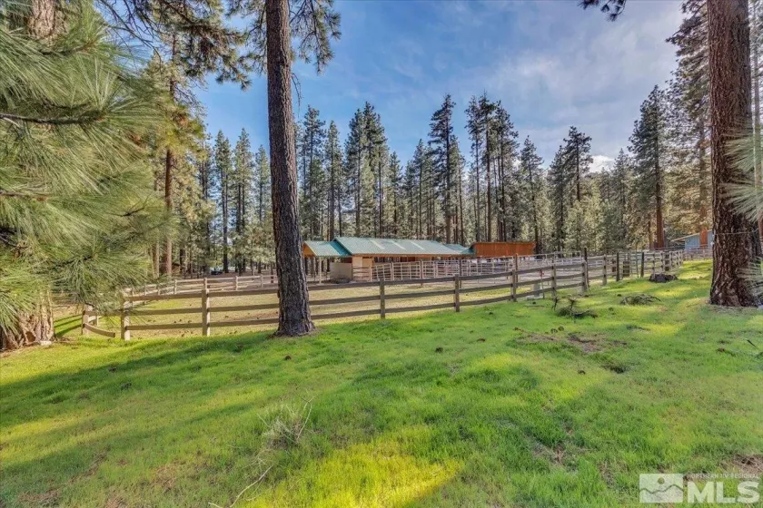 93 Jeffrey Pine, Carson City, Nevada 89705, 9 Bedrooms Bedrooms, ,12 BathroomsBathrooms,Residential,Residential,Jeffrey Pine,250004891