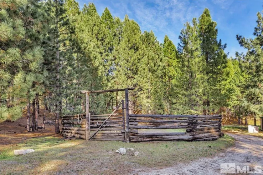 93 Jeffrey Pine, Carson City, Nevada 89705, 9 Bedrooms Bedrooms, ,12 BathroomsBathrooms,Residential,Residential,Jeffrey Pine,250004891