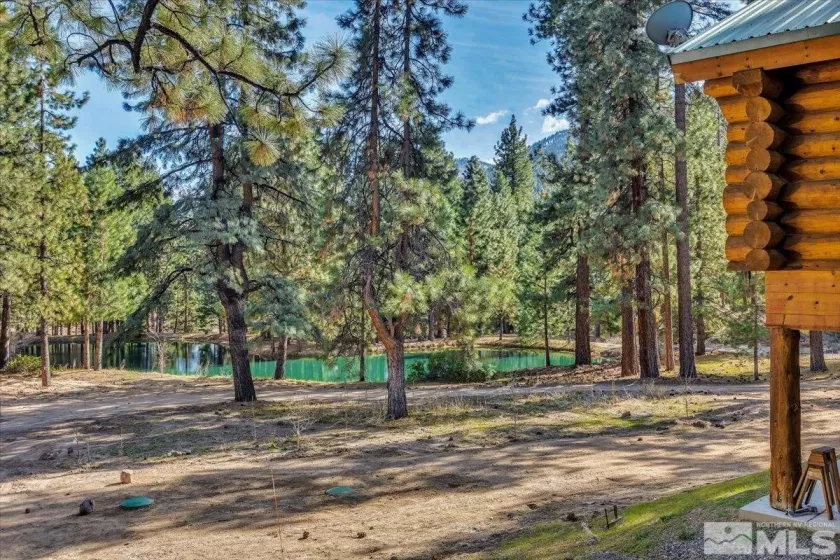 93 Jeffrey Pine, Carson City, Nevada 89705, 9 Bedrooms Bedrooms, ,12 BathroomsBathrooms,Residential,Residential,Jeffrey Pine,250004891