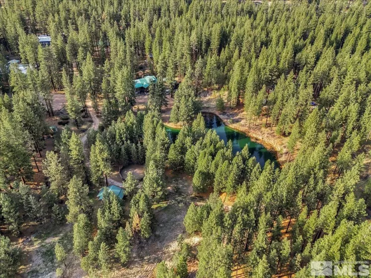 93 Jeffrey Pine, Carson City, Nevada 89705, 9 Bedrooms Bedrooms, ,12 BathroomsBathrooms,Residential,Residential,Jeffrey Pine,250004891