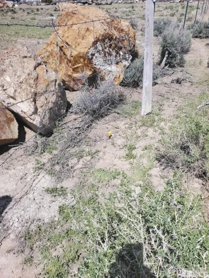 009-040-21 Muddy, Winnemucca, Nevada 89445, ,Land,Residential,Muddy,250004907