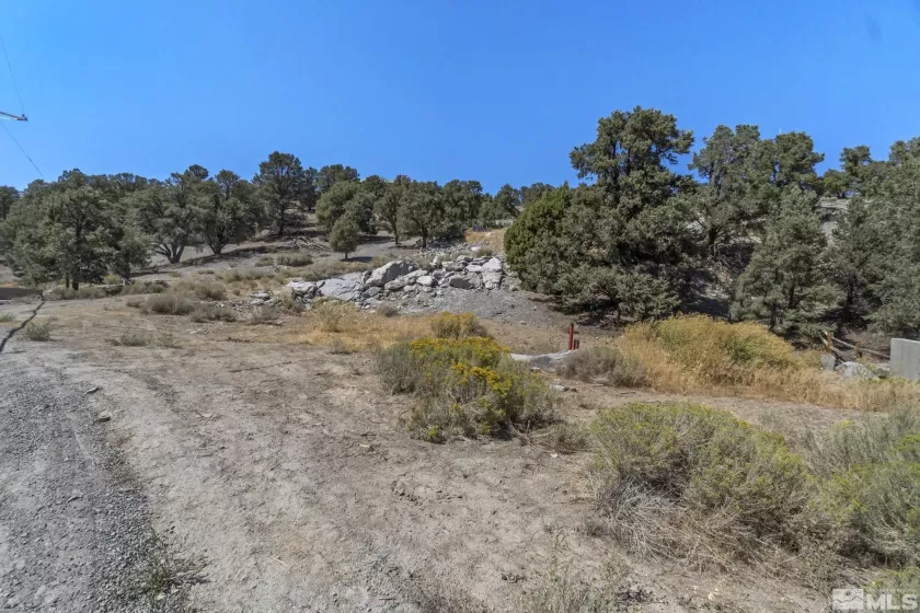21490 Sazarac, Reno, Nevada 89521, ,Land,Residential,Sazarac,250000251