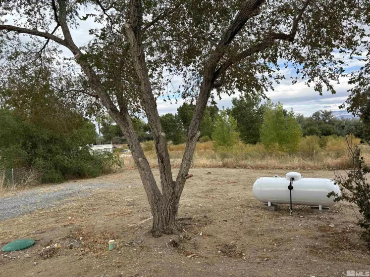 727 River, Yerington, Nevada 89447, 3 Bedrooms Bedrooms, ,2 BathroomsBathrooms,Residential,Residential,River,250004470