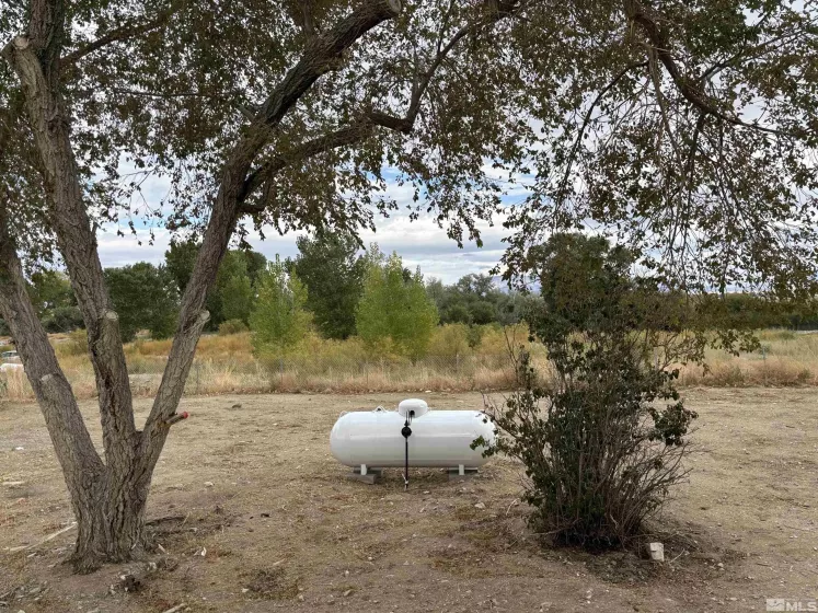 727 River, Yerington, Nevada 89447, 3 Bedrooms Bedrooms, ,2 BathroomsBathrooms,Residential,Residential,River,250004470