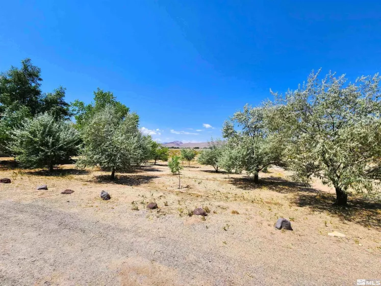 2345 4th, Silver Springs, Nevada 89429, 3 Bedrooms Bedrooms, ,2 BathroomsBathrooms,Residential,Residential,4th,250004394