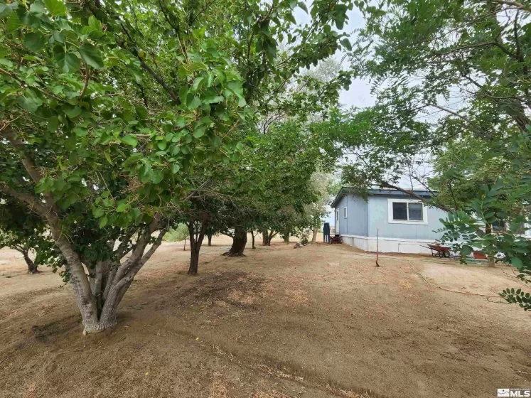 2345 4th, Silver Springs, Nevada 89429, 3 Bedrooms Bedrooms, ,2 BathroomsBathrooms,Residential,Residential,4th,250004394