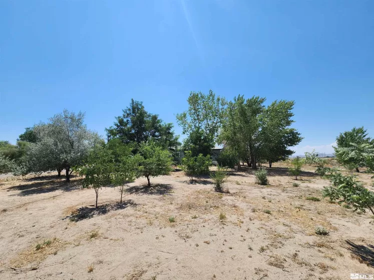 2345 4th, Silver Springs, Nevada 89429, 3 Bedrooms Bedrooms, ,2 BathroomsBathrooms,Residential,Residential,4th,250004394