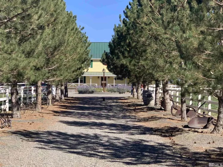 50 Miller Ridge, Wellington, Nevada 89444, 7 Bedrooms Bedrooms, ,5 BathroomsBathrooms,Residential,Residential,Miller Ridge,250002207