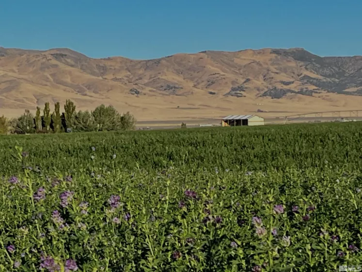 595 Innean, Winnemucca, Nevada 89445, 2 Bedrooms Bedrooms, ,1 BathroomBathrooms,Farm & Ranch,Residential,Innean,250004402