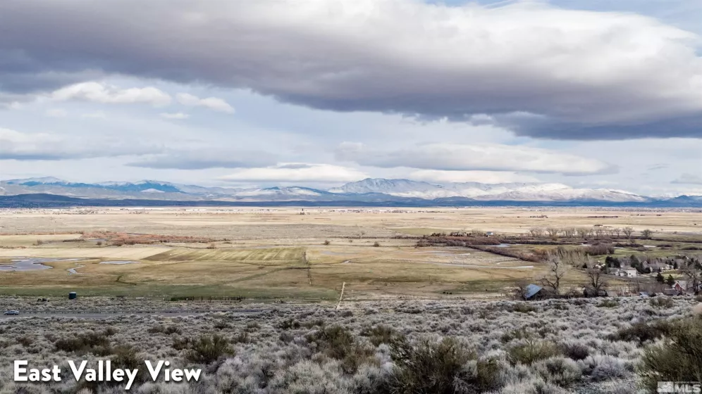 2527 Eagle Ridge, Genoa, Nevada 89411, ,Land,Residential,Eagle Ridge,250004621