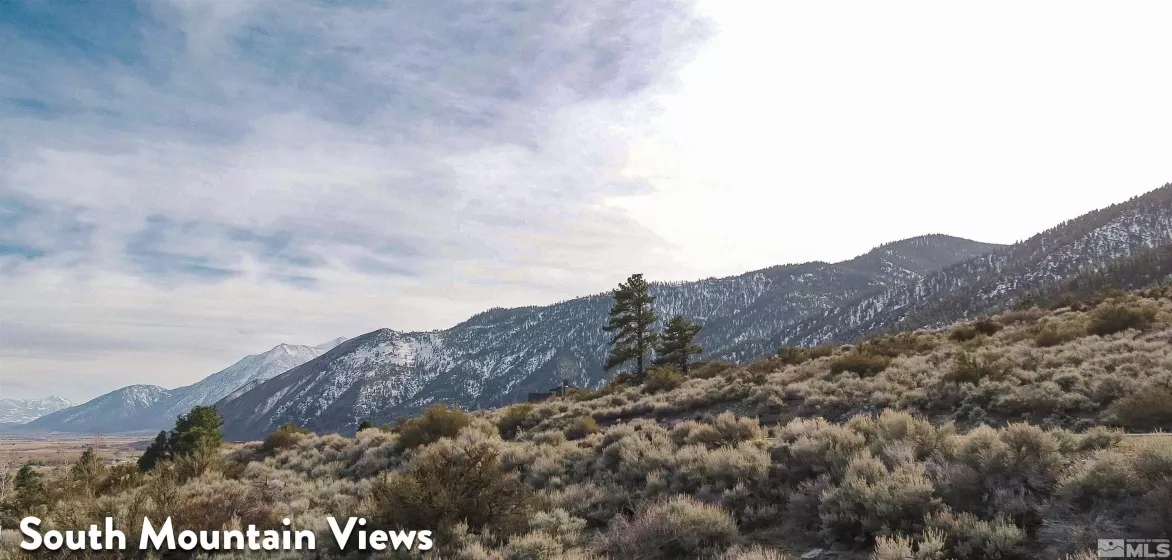 2527 Eagle Ridge, Genoa, Nevada 89411, ,Land,Residential,Eagle Ridge,250004621