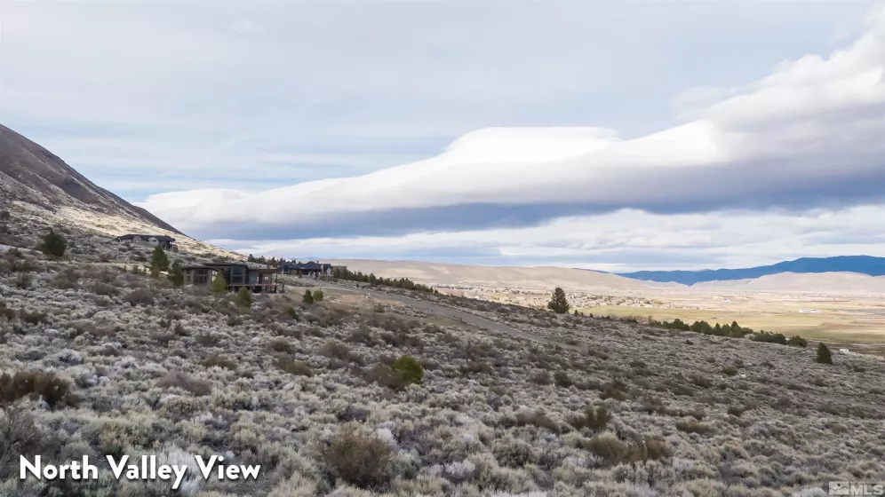 2527 Eagle Ridge, Genoa, Nevada 89411, ,Land,Residential,Eagle Ridge,250004621