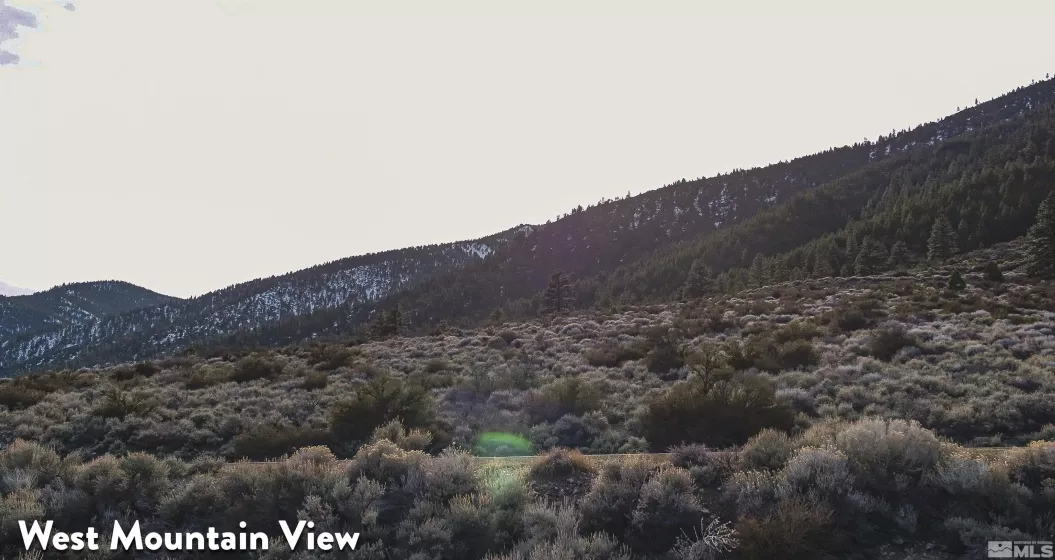 2527 Eagle Ridge, Genoa, Nevada 89411, ,Land,Residential,Eagle Ridge,250004621