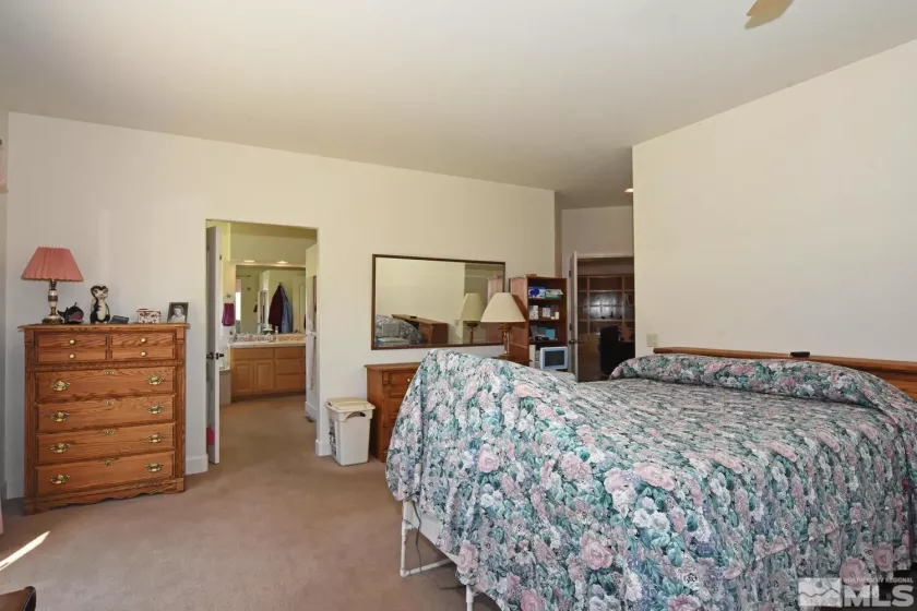 45 Lower Colony, Wellington, Nevada 89444, 4 Bedrooms Bedrooms, ,3 BathroomsBathrooms,Residential,Residential,Lower Colony,240012719