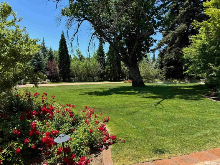 631 California, Reno, Nevada 89509, 8 Bedrooms Bedrooms, ,14 BathroomsBathrooms,Residential,Residential,California,240007167