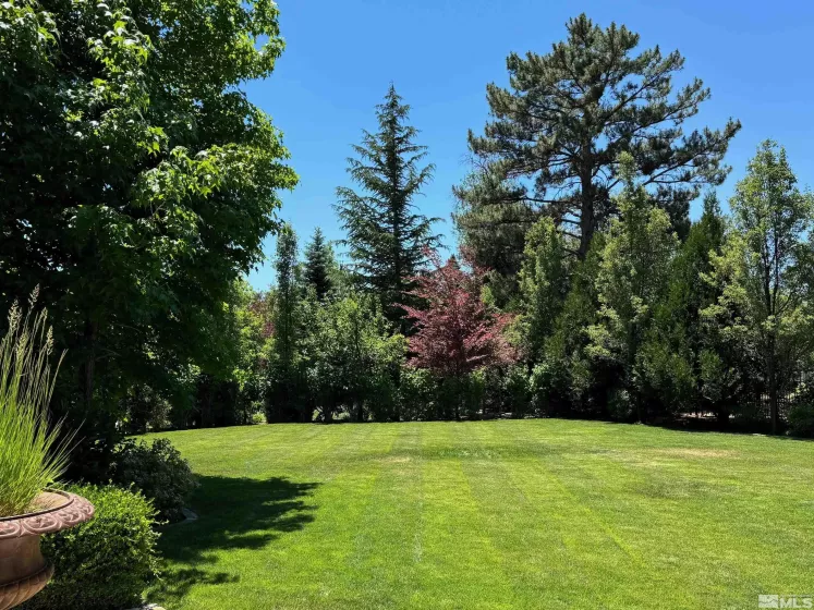 631 California, Reno, Nevada 89509, 8 Bedrooms Bedrooms, ,14 BathroomsBathrooms,Residential,Residential,California,240007167
