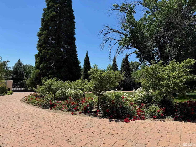631 California, Reno, Nevada 89509, 8 Bedrooms Bedrooms, ,14 BathroomsBathrooms,Residential,Residential,California,240007167