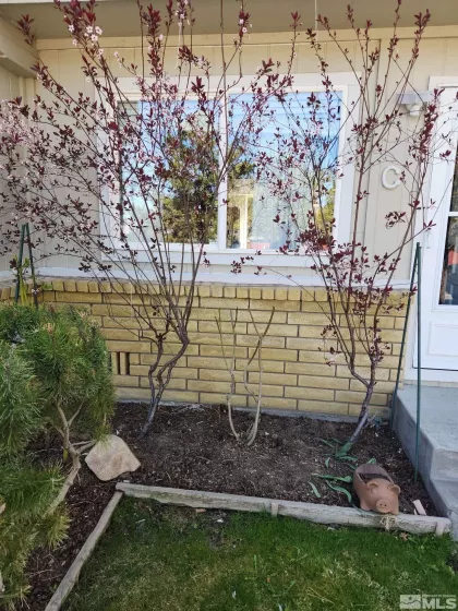 1363 Waterloo, Gardnerville, Nevada 89410, 2 Bedrooms Bedrooms, ,2 BathroomsBathrooms,Residential,Residential,Waterloo,250004355
