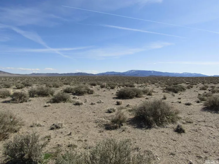 0 Tognoli, Yerington, Nevada 89447, ,Land,Residential,Tognoli,230003010