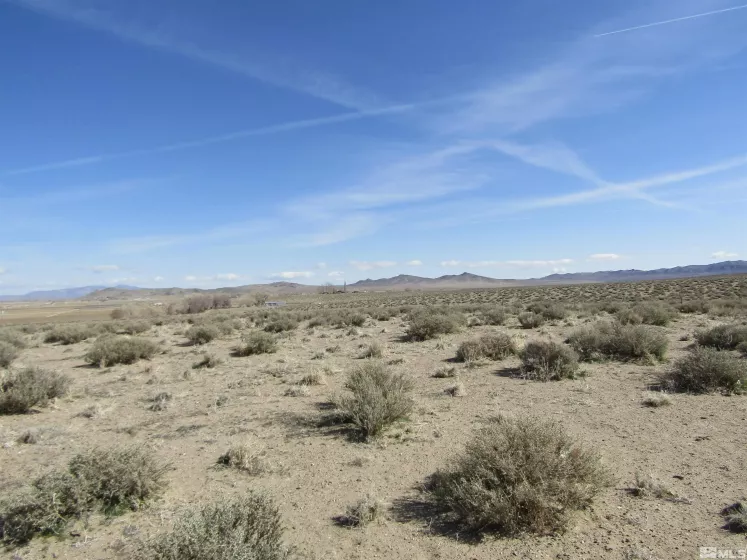 0 Tognoli, Yerington, Nevada 89447, ,Land,Residential,Tognoli,230003010