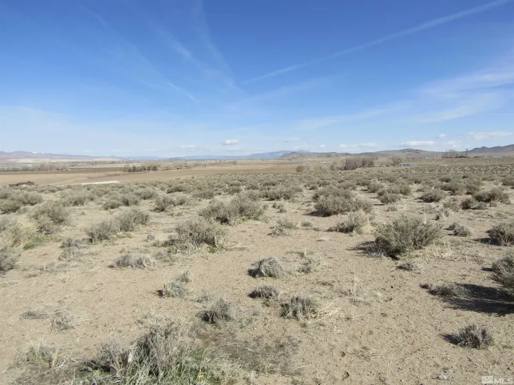0 Tognoli, Yerington, Nevada 89447, ,Land,Residential,Tognoli,230003010