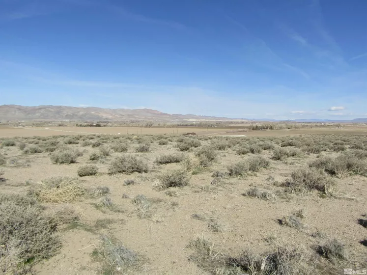 0 Tognoli, Yerington, Nevada 89447, ,Land,Residential,Tognoli,230003010