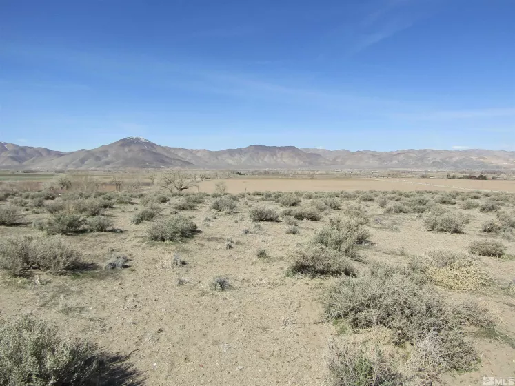 0 Tognoli, Yerington, Nevada 89447, ,Land,Residential,Tognoli,230003010