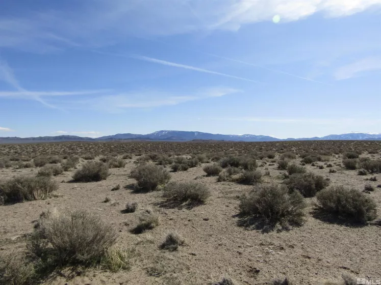 0 Tognoli, Yerington, Nevada 89447, ,Land,Residential,Tognoli,230003010