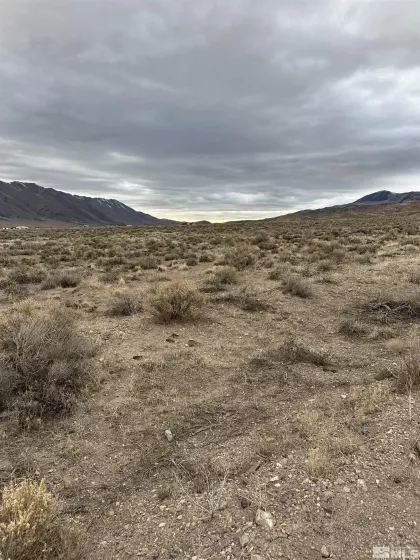 6505 Grass Valley, Reno, Nevada 89510, ,Land,Residential,Grass Valley,250004629