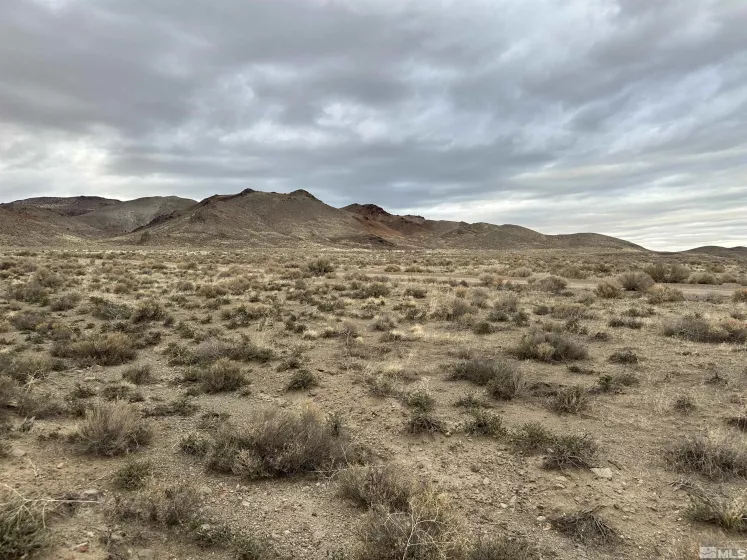 6505 Grass Valley, Reno, Nevada 89510, ,Land,Residential,Grass Valley,250004629