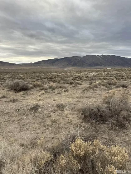 6505 Grass Valley, Reno, Nevada 89510, ,Land,Residential,Grass Valley,250004629
