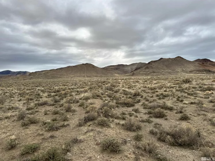 6505 Grass Valley, Reno, Nevada 89510, ,Land,Residential,Grass Valley,250004629