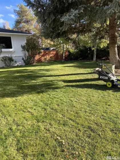 1599 Lucerne, Minden, Nevada 89423, 4 Bedrooms Bedrooms, ,4 BathroomsBathrooms,Residential,Residential,Lucerne,250002179
