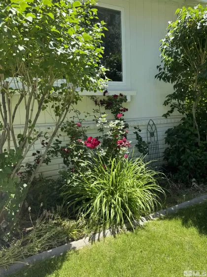 1599 Lucerne, Minden, Nevada 89423, 4 Bedrooms Bedrooms, ,4 BathroomsBathrooms,Residential,Residential,Lucerne,250002179
