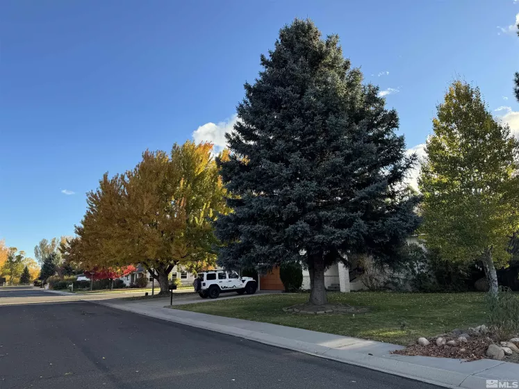 1599 Lucerne, Minden, Nevada 89423, 4 Bedrooms Bedrooms, ,4 BathroomsBathrooms,Residential,Residential,Lucerne,250002179
