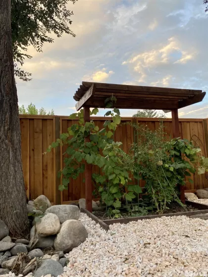 1599 Lucerne, Minden, Nevada 89423, 4 Bedrooms Bedrooms, ,4 BathroomsBathrooms,Residential,Residential,Lucerne,250002179