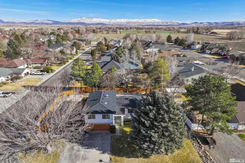 1599 Lucerne, Minden, Nevada 89423, 4 Bedrooms Bedrooms, ,4 BathroomsBathrooms,Residential,Residential,Lucerne,250002179