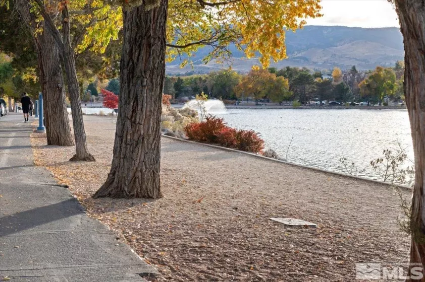 2955 Lakeside, Reno, Nevada 89509, 1 Bedroom Bedrooms, ,1 BathroomBathrooms,Residential,Residential,Lakeside,240014257