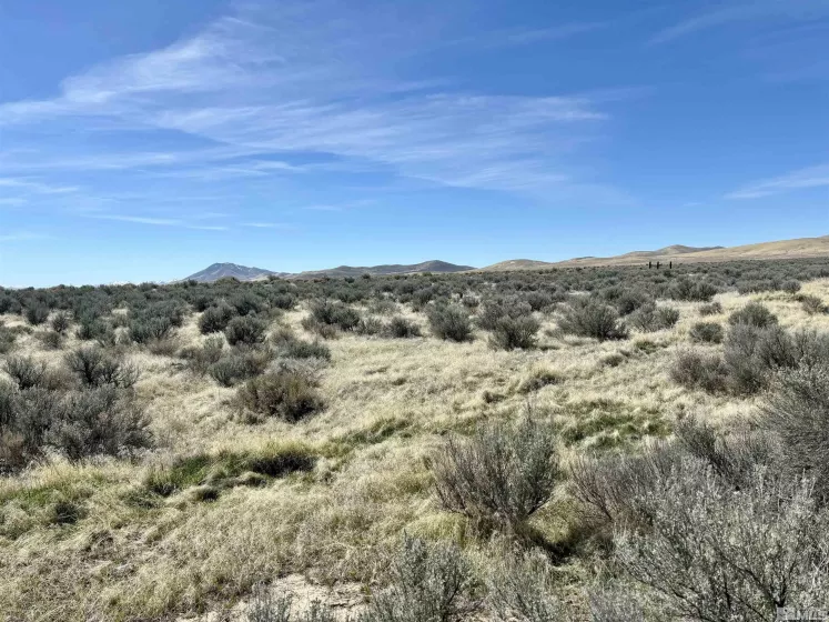 4055 US HWY 95, Winnemucca, Nevada 89445, 4 Bedrooms Bedrooms, ,2 BathroomsBathrooms,Residential,Residential,US HWY 95,250003784