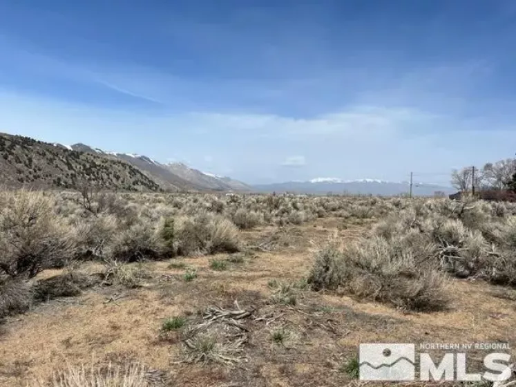 Lot X3 US Highway 395, Coleville, California 96107, ,Land,Residential,US Highway 395,250004057
