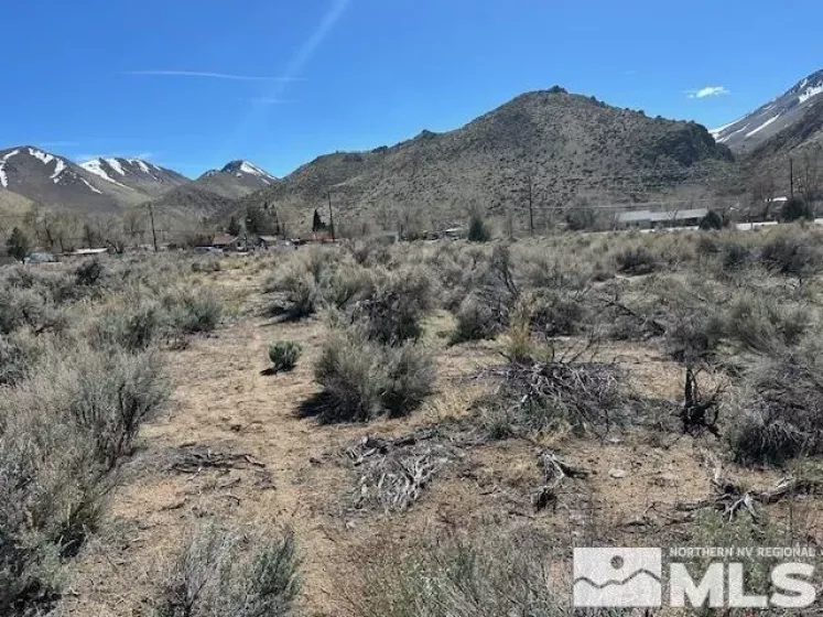 Lot X3 US Highway 395, Coleville, California 96107, ,Land,Residential,US Highway 395,250004057